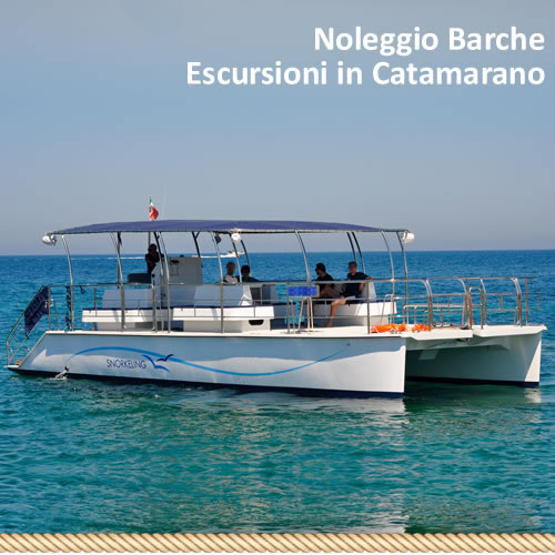 Catamaran excursions